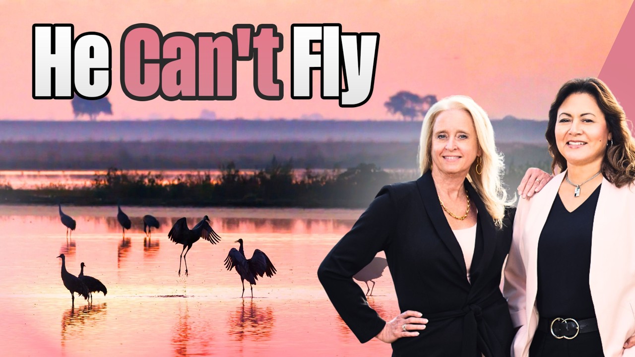 The Incredible Love Story of These Sandhill Cranes Will Restore Your Faith in Humanity