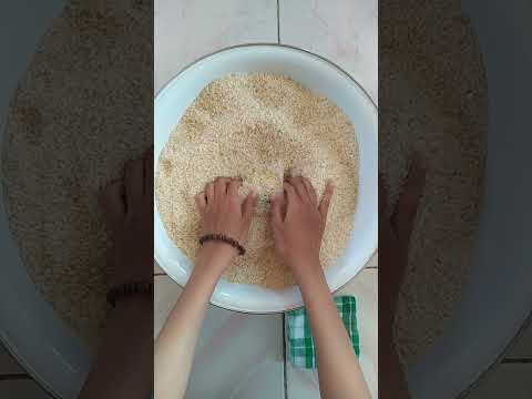 menemukan bumbu kaldu rasa jamur dapurkita #dapur #dapurbuyati #bumbu #jamur #dapurkita #fyp