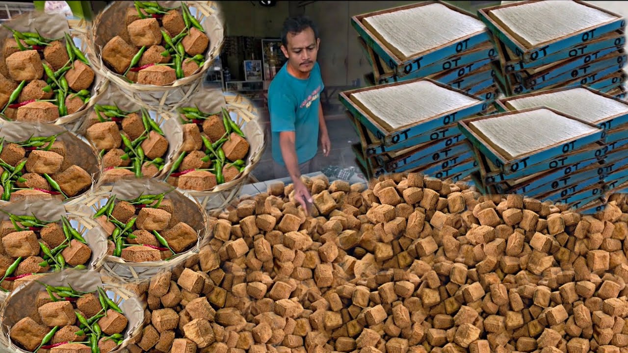 NONSTOP 24 JAM GORENG TERUS!! SEHARI NGABISIN RIBUAN TAHU SAMPE MINYAK HITAM