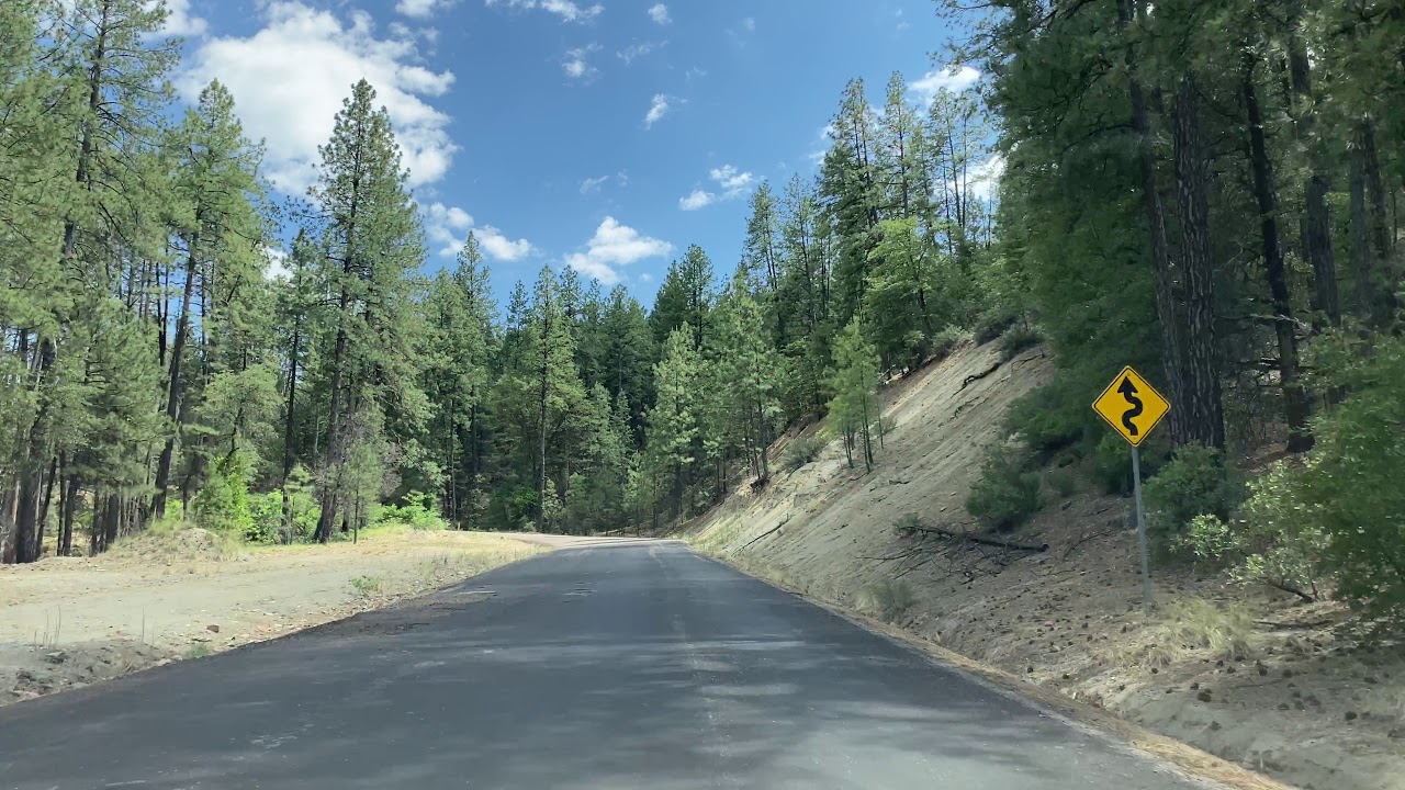 Road trip south of Willow Springs Lake, AZ Lovely Ponderosa Pines