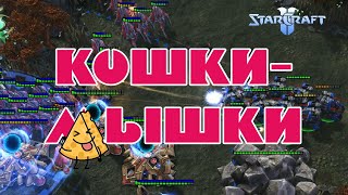картинка: Кошки Мышки в TvP StarCraft2