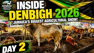 Denbigh Agricultural Show 2026 | Amazing Animals, Food & Farming (Day 2)