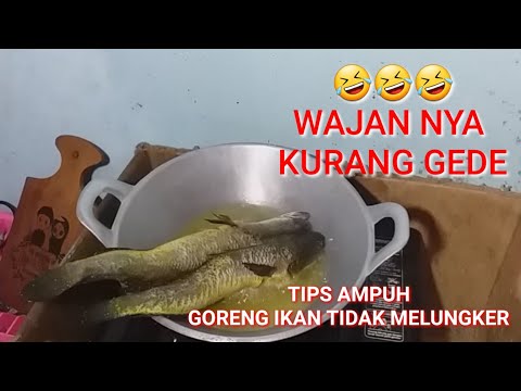 #Makanan Cara menggoreng lele supaya hasilnya lurus. 