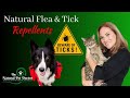 Natural flea and tick remedies for dogs and cats