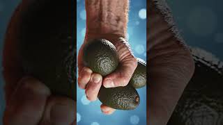 Asmr Squeezing - Banana 🍌 and Avocado 🥑 #squeeze #banana  #avocado  #fruit #juice #kids #kidsvideo