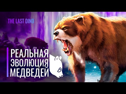 Видео: Реальная Эволюция Медвежьих. От Хвоста до когтей