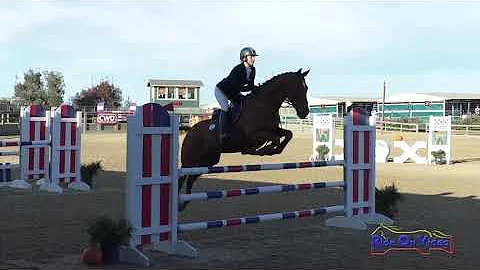 042S Olivia Loiacono Putrino on Petey Pablo CCI2* Short Show Jumping Woodside October 2020