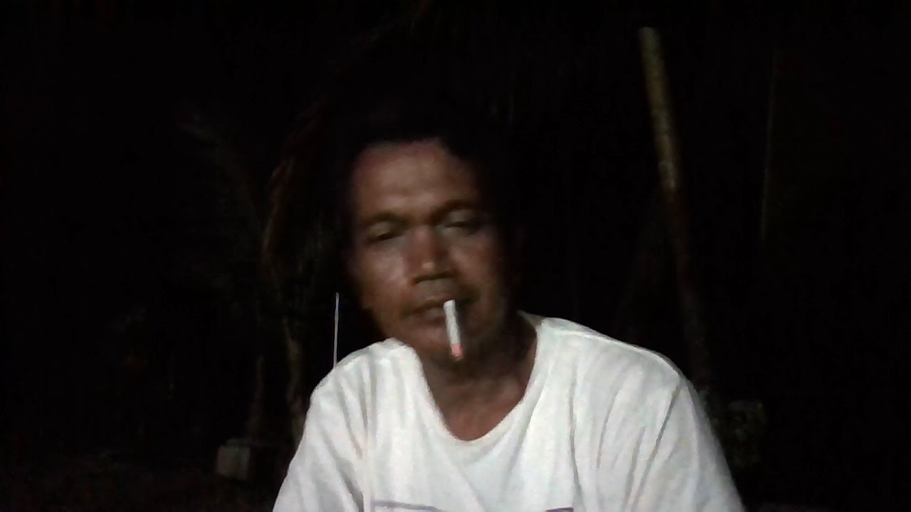 BUDIDAYA CABE POLA KP2M