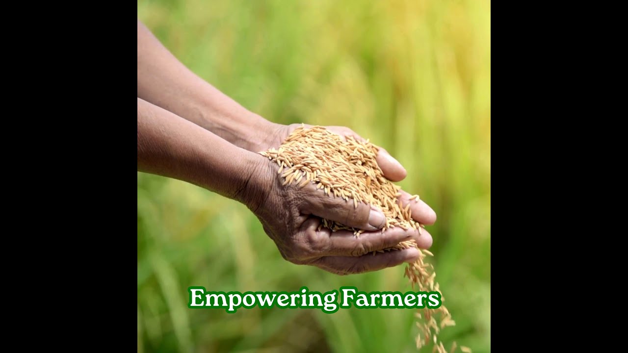Basmati Export Development Foundation (BEDF) initiatives on promotion of Basmati rice cultivation.