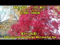 音楽大好き　ジョージ・ベンソン　 /　変わらぬ思い　　 I LOVE MUSIC GEORGE BENSON / NOTHING7s GONNA CHANGE MY LOVE FOR TOU