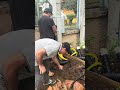 🚧⚡️ DIA 23 DE OBRA – PARTE 1!Seguimos firmes na construção do Alhio Eletroposto