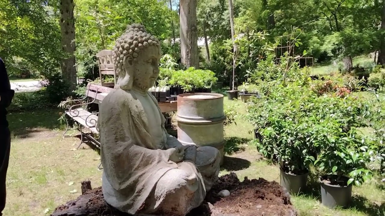 Peconic Herb Farm & Andrews Family Farm, Long Island NY 5-20-25