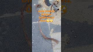 Bakır Elektrik Telleri Ölüm Saçıyor .