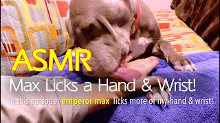 Max Licks | Hand \& Wrist | ASMR DOG LICKING No Talking