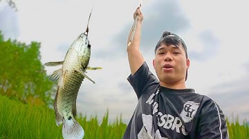 Thử Thách Câu Cá Bằng CẦN CÂU TRE - Cần Câu Tuổi Thơ