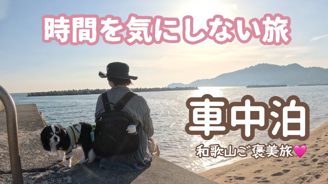 おだやかな街で時間に縛られず旅する50代看護師と犬1匹。和歌山ご褒美の車中泊旅。和歌山市・海南市