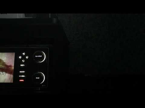 SUPER BEAVER 「青い春」 歌ってみた