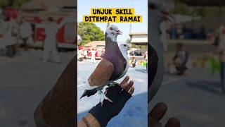Merpatiku unjuk skill ditempat ramai