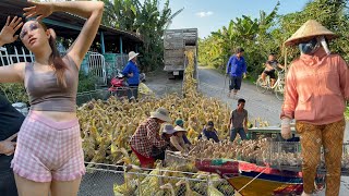 Download Lagu Full Video: Giant Trucks Move Millions of Free-Range Ducks Daily—How Rural Farmers Build Wealth MP3