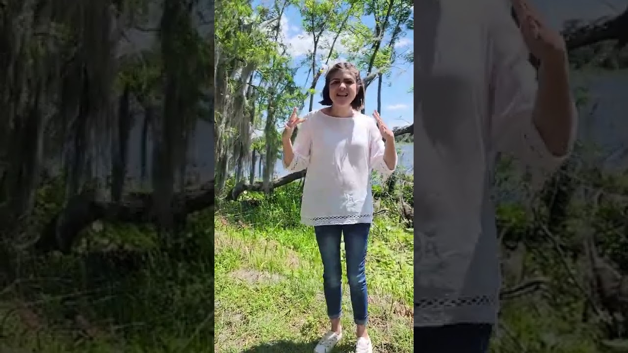 Springtime ASL - Chris Renzema