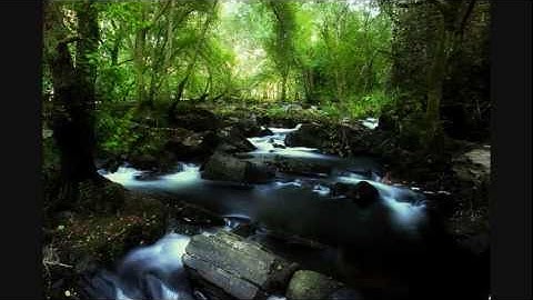 Thumbnail of David Arkenstone ~ 'Shady Rest'