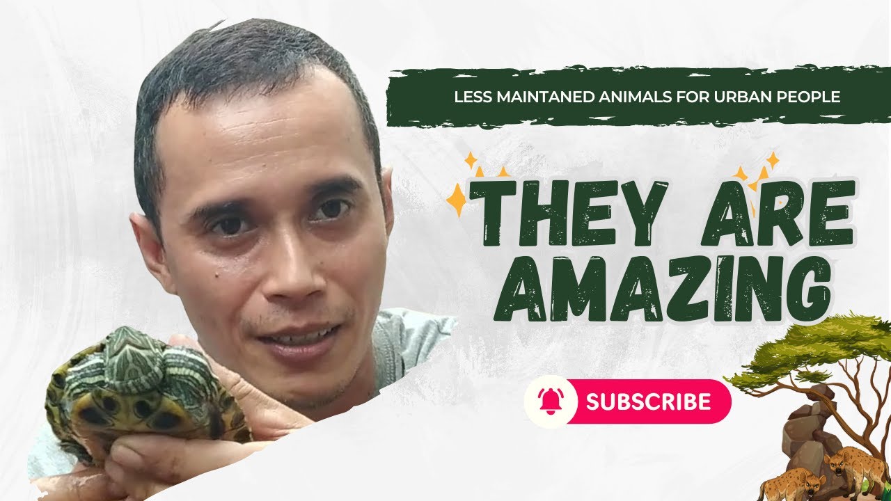 Не у всех садоводов есть собаки — у меня есть черепахи.