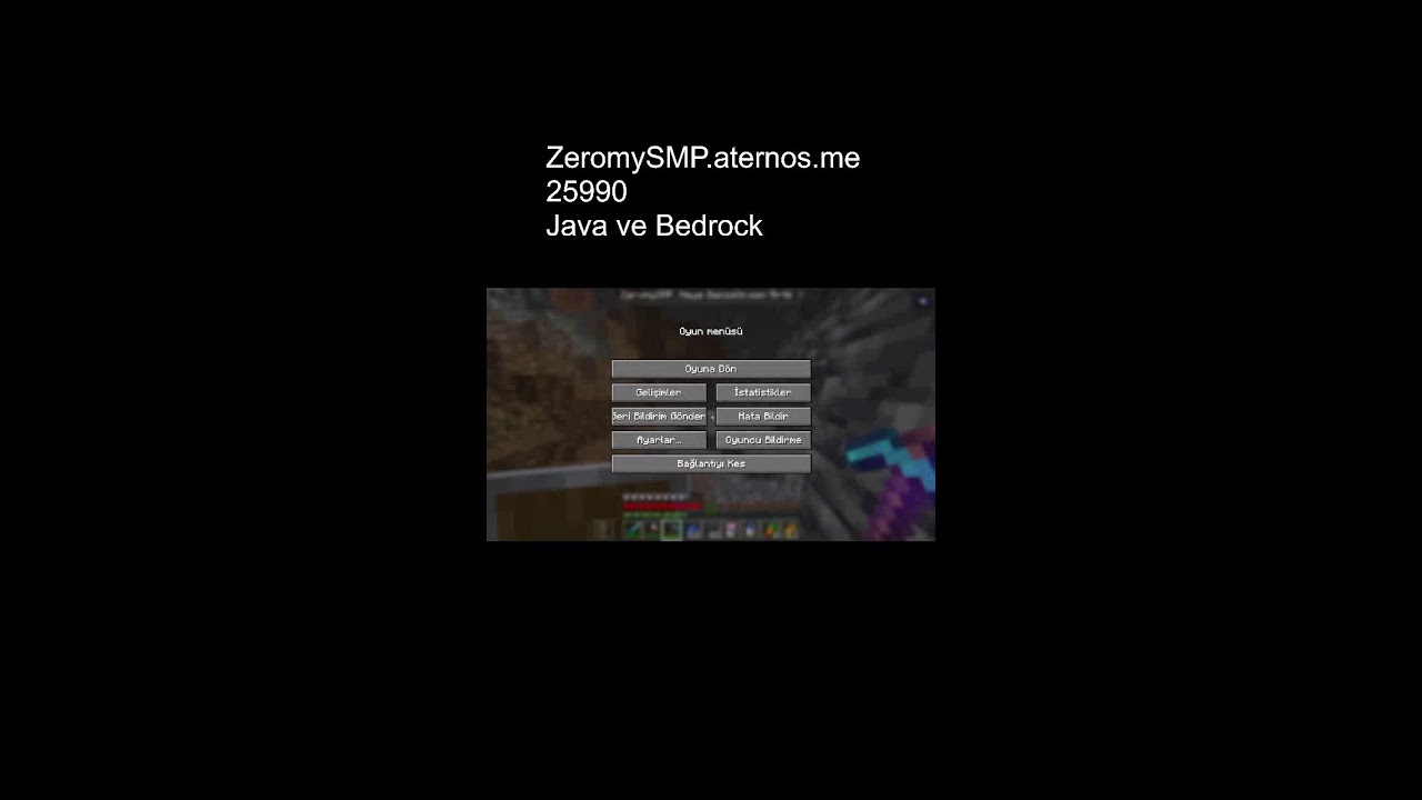Minecraft ZeromySMP