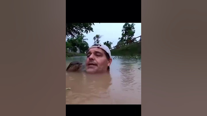 Такого он не ожидал!!! Выдра подплыла к блогеру и начала позировать на камеру.