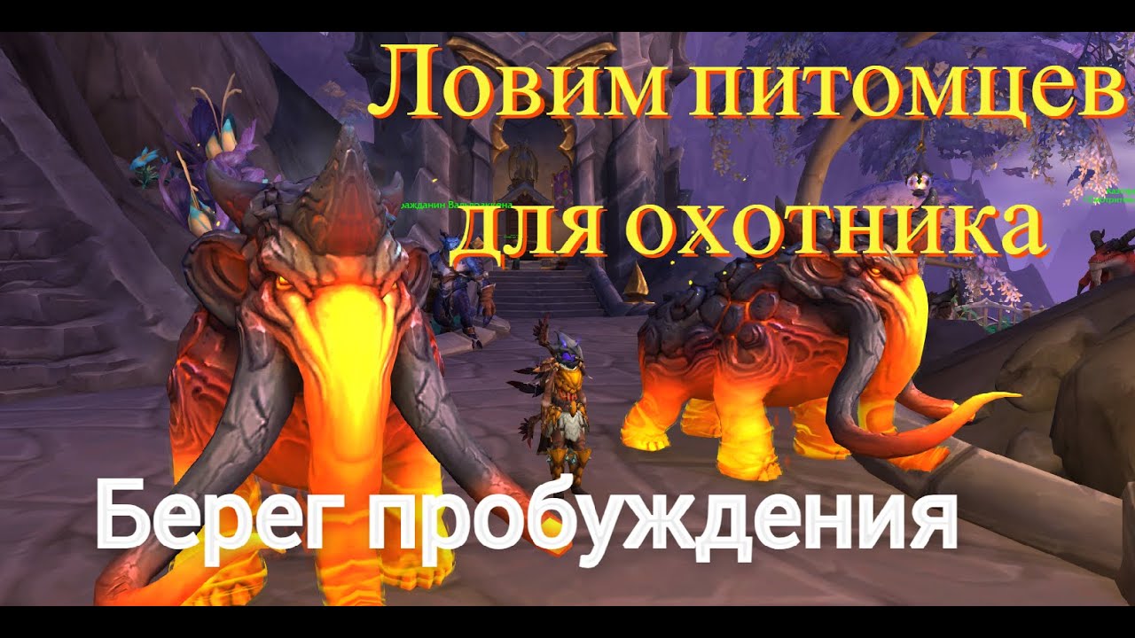 Ловим новых питомцев. Берег пробуждения 