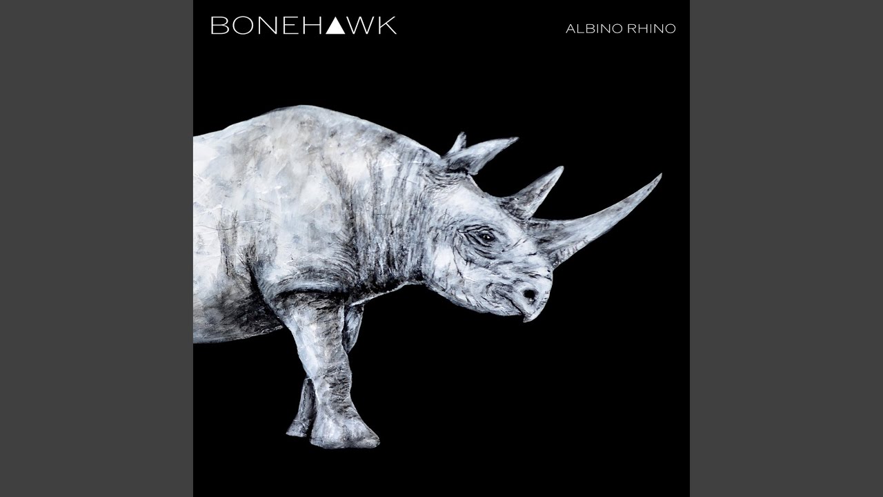 Albino Rhino - YouTube