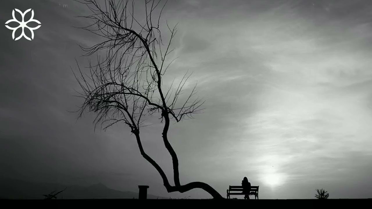 Watch Endorphine - Solitude on YouTube Watch Endorphine - Solitude on YouTube