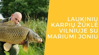 Laukinių karpių žūklė Vilniuje su Mariumi Joniu: kur ieškoti įsimintinų laimikių artėjant rudeniui