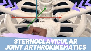 KINESIOLOGY OF THE SHOULDER GIRDLE ANIMATION: Sternoclavicular Joint Arthrokinematics