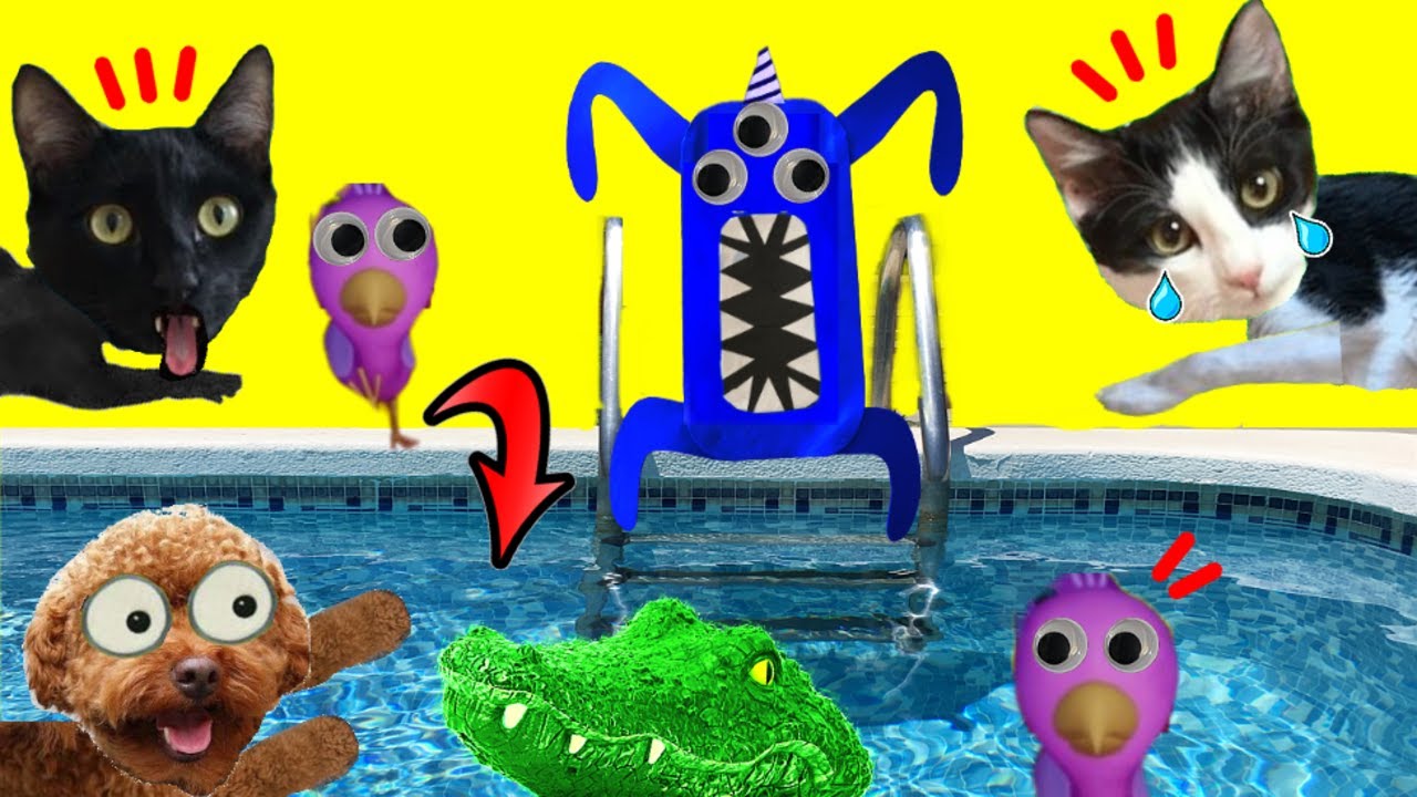 Nabnab garten of banban 2 vs bebes de Opila bird en la piscina / Videos de gatos Luna y Estrella