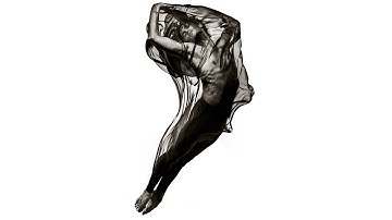 The light Albert Watson shapes