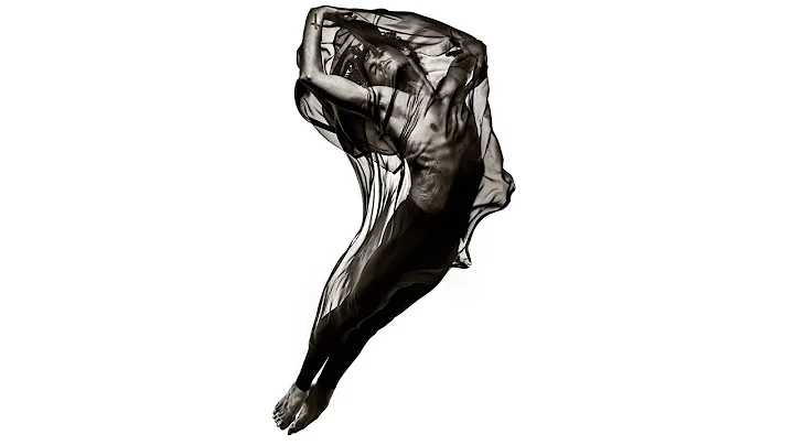 The light Albert Watson shapes