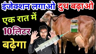 इंजेक्शन लगाओं दूध बढ़ाओ  Dudh badhane ka injection | दूध बढा़ने का इंजेक्शन | dudh kaise badhayen