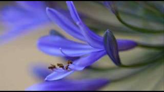 A. Vivaldi (G. Porta): Andromeda liberata (RV Anh.117) - I Aria 9 [Andromeda]: Mi piace e mi diletta