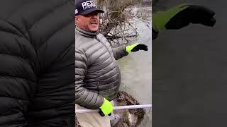 Cowlitz River Smelt aka Eulachon - What It Takes.