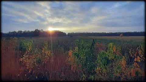 Christ Above All (Colossians 1:15-19) - Dr. John MacArthur