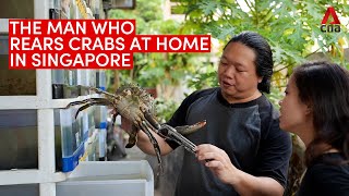 The crab condo guru: Meet the man who rears crabs at home in Singapore