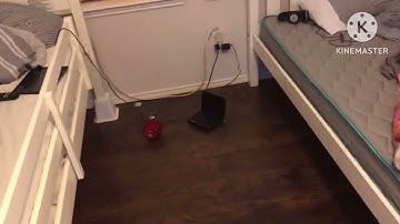 Characters Getting Scared of the Paramount DVD Logo (Part 3)