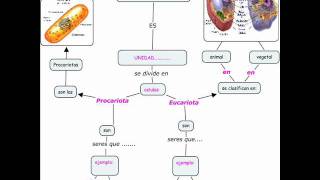 MAPA CONCEPTUAL DE LA CELULA - PRONAFCAP 2011
