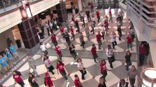 Miniatura de vídeo de "Flash Mob at the Ohio Union 5/3/2010 - The Ohio State University"