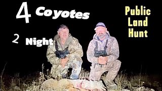 “Epic Two-Night Coyote Hunt on Public Land | Thermal Scope Action!”#Shorts #CoyoteHunting.