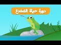 هل تعلم مع لونا دورة حياة الضفدع 