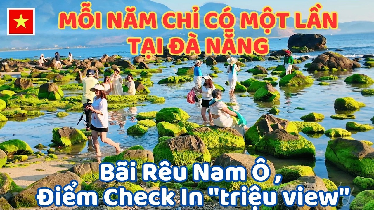 Mỗi Năm Chỉ Có Một Lần Tại Đà Nẵng - Bãi Rêu Nam Ô , Điểm Check In 
