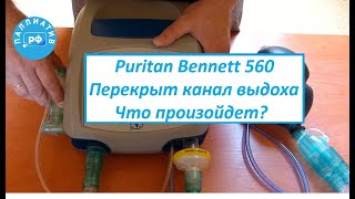 Заблокирован выдох у аппарата ИВЛ Puritan Bennett 560. Сможет ли дышать пациент?