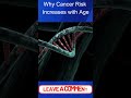 Why Cancer Risk Increases with Age