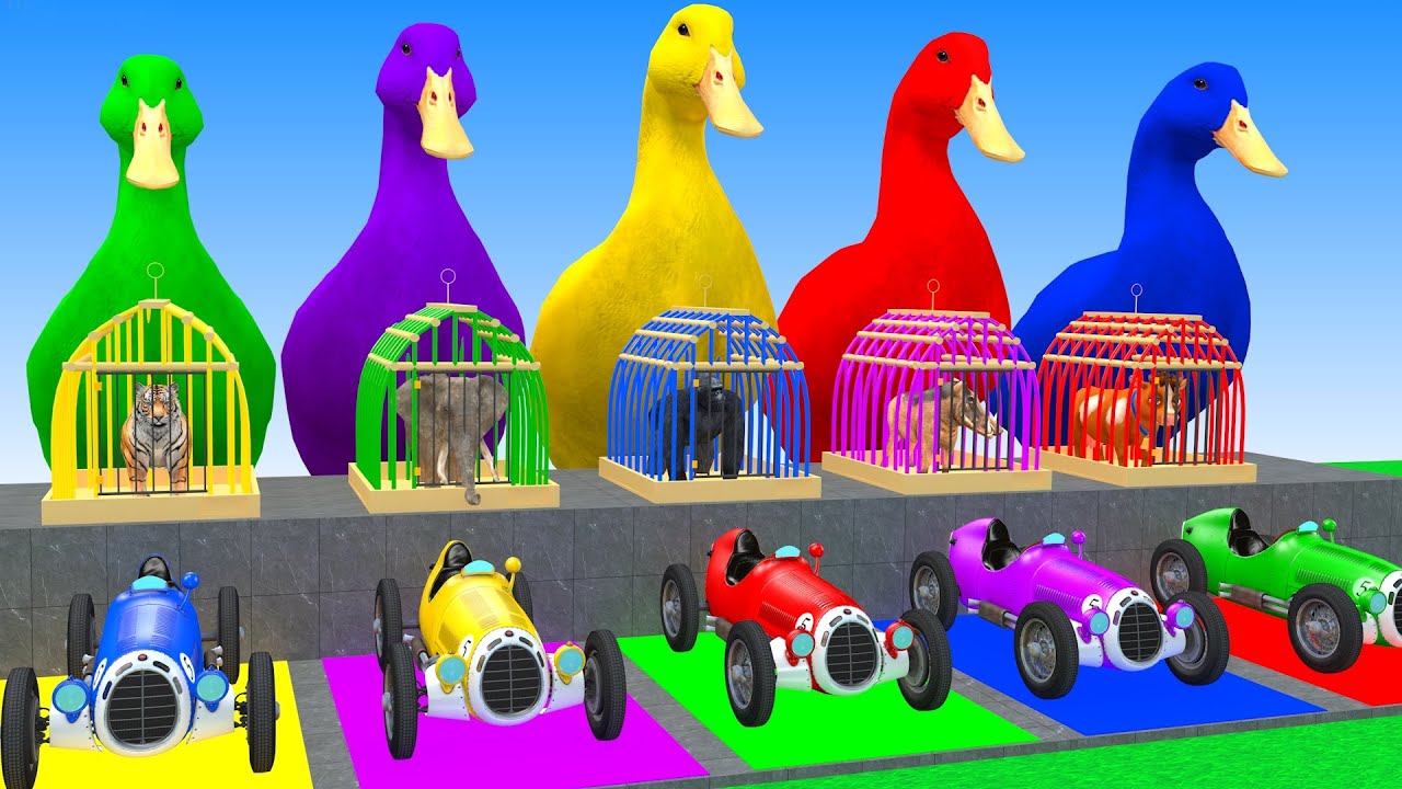 Long Slide Game With Elephant Tiger Gorilla Warthog Cow  3d Animal Game Funny 3d Animals